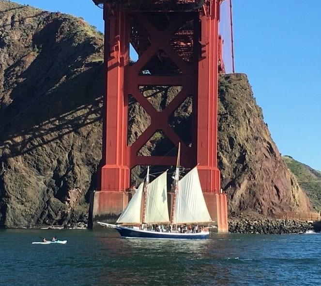 Marine Wildlife and Ecology Sail on San Francisco Bay