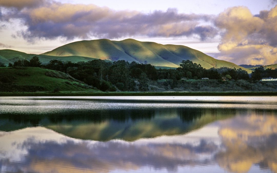 The Astonishing Beauty of Point Reyes … a landscape show by Kathleen Goodwin and Richard Blair